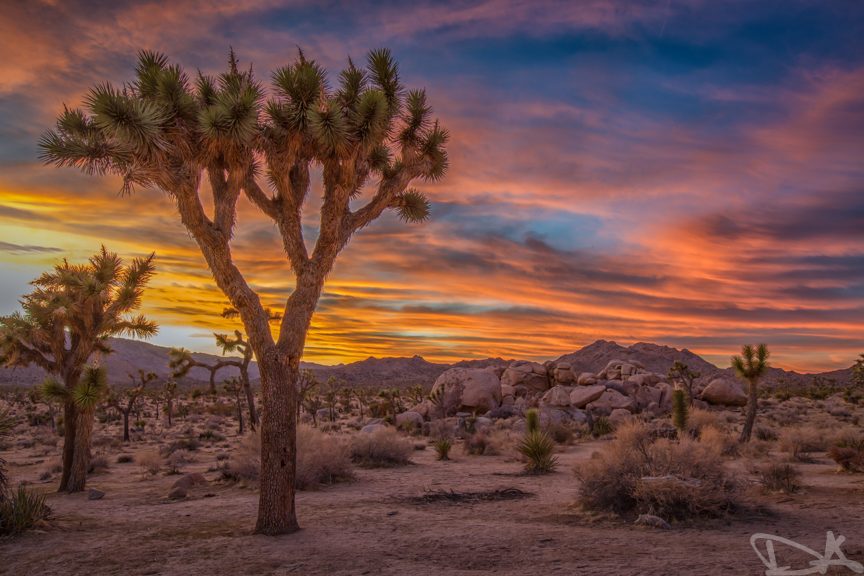 What I Believe About Real Estate Marketing