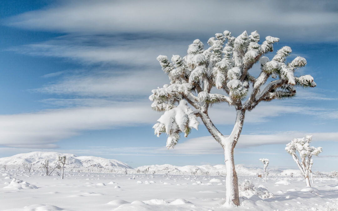 Why Clarity Builds More Trust Than Charisma in Real Estate